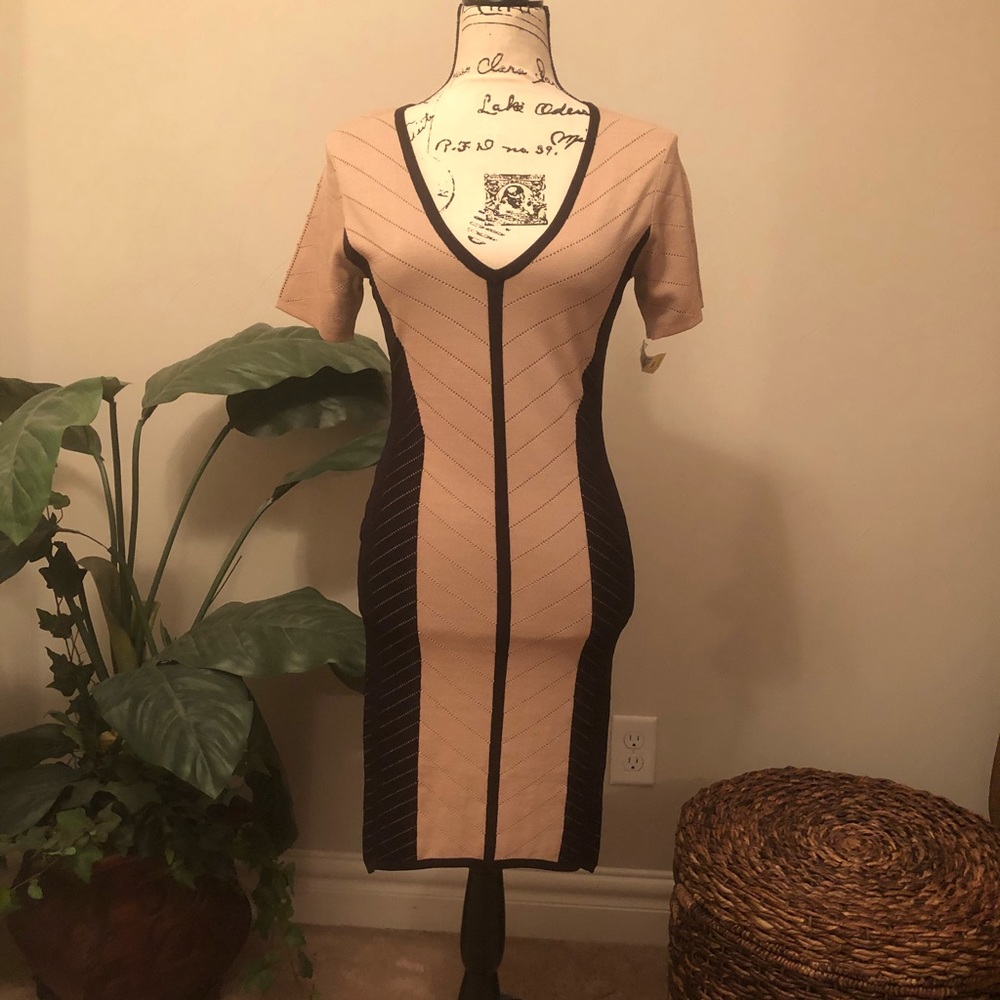 Torn by Ronny Kobo Bodycon Dress
